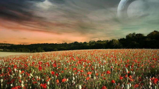 中国的歼-10 在世界上是什么水平？